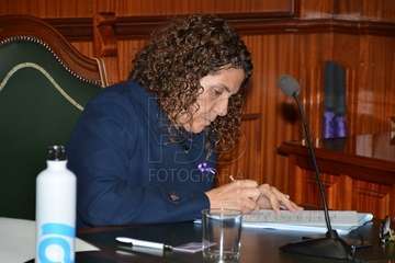 Sesión plenaria correspondiente al mes de noviembre (Foto Francisco Javier Santana)